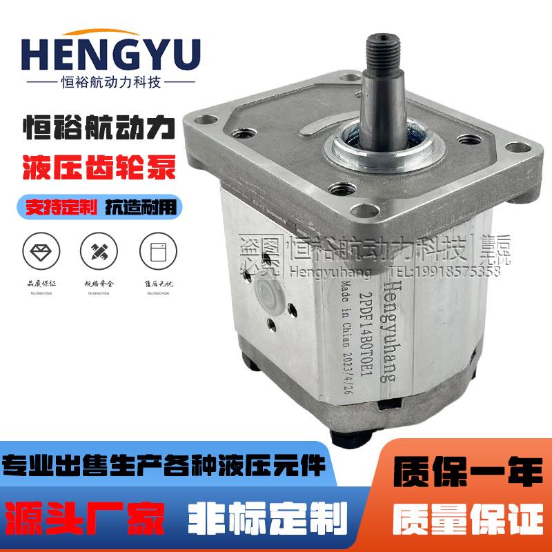 齿轮泵2SP140 2SPA160 2SPA080DSAEA 1SPA6.3液压泵