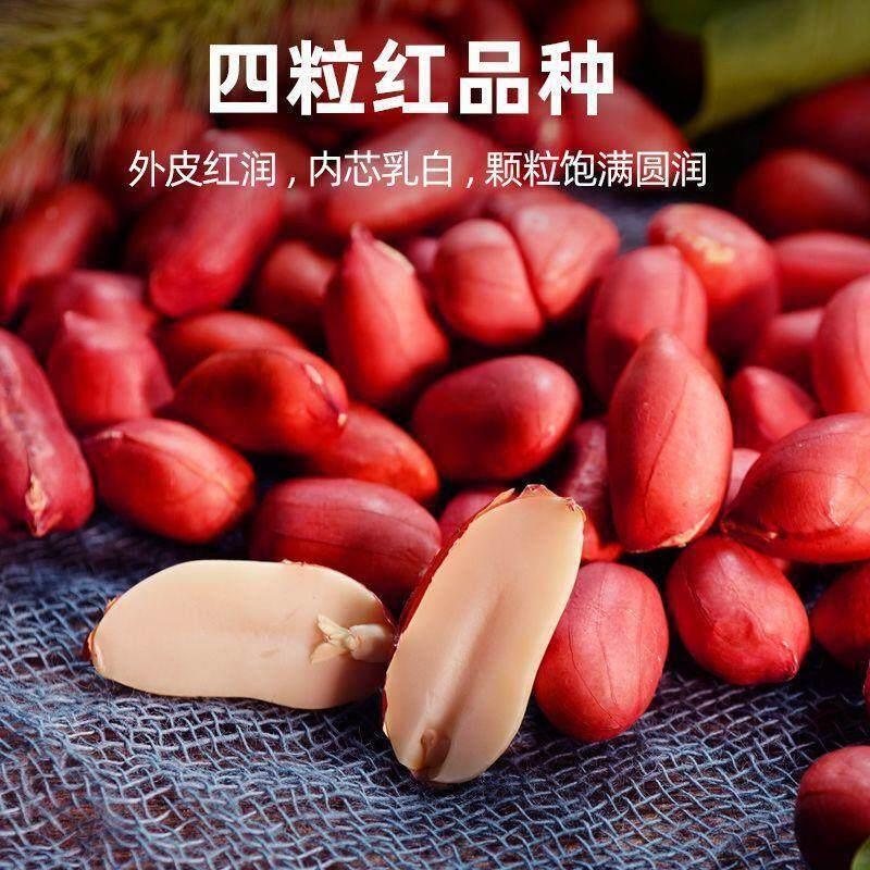红皮花生米农家自产优质红衣四粒小花生无染色花生东北去壳花生仁