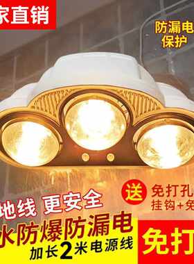 浴霸壁挂式浴室两灯三灯保温灯卫生间洗澡防水免打孔两灯挂墙灯泡
