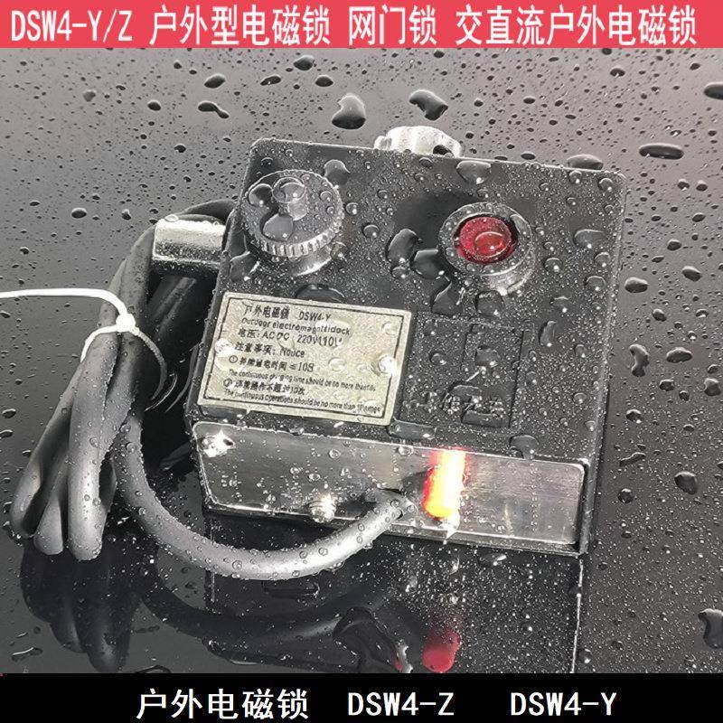DSW4-Z(Y)户外电磁锁DSW1-I-I  SW4Y-/ZJD-Y-D 户外电磁锁 接地电