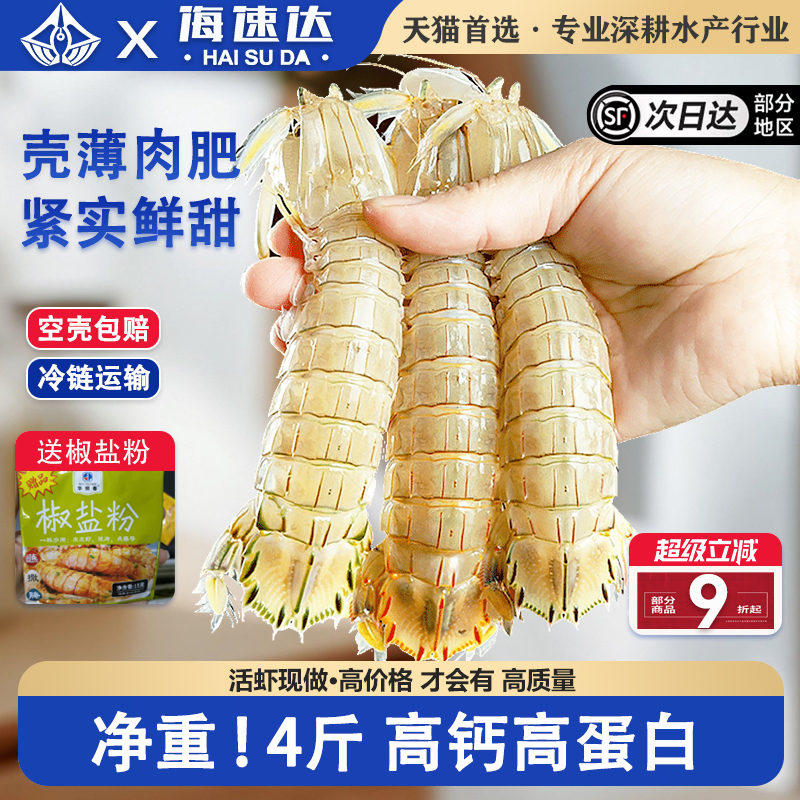 海速达皮皮虾鲜活特大冷冻虾爬子带膏琵琶虾即食濑尿海虾海鲜水产