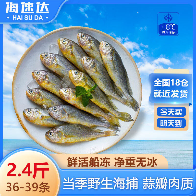 海速达舟山小黄鱼新鲜冷冻深海鲜水产黄花鱼生鲜冰鲜海鱼商用烧烤