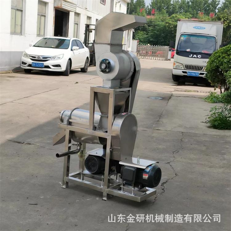 石榴籽椰肉螺旋榨汁机黄瓜小瓜渣汁分离机多功能大型水果挤汁机