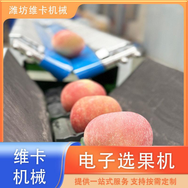水果重量分选机设备厂家 果蔬分拣机价格 火龙果称重分拣机