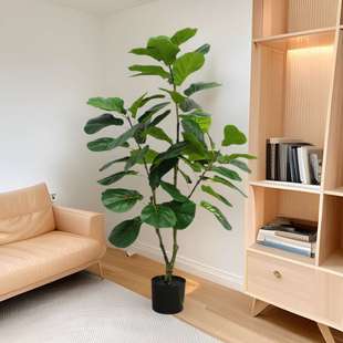 饰摆件琴叶榕仿真假树绿植盆景 仿真植物琴叶榕盆栽北欧家居室内装