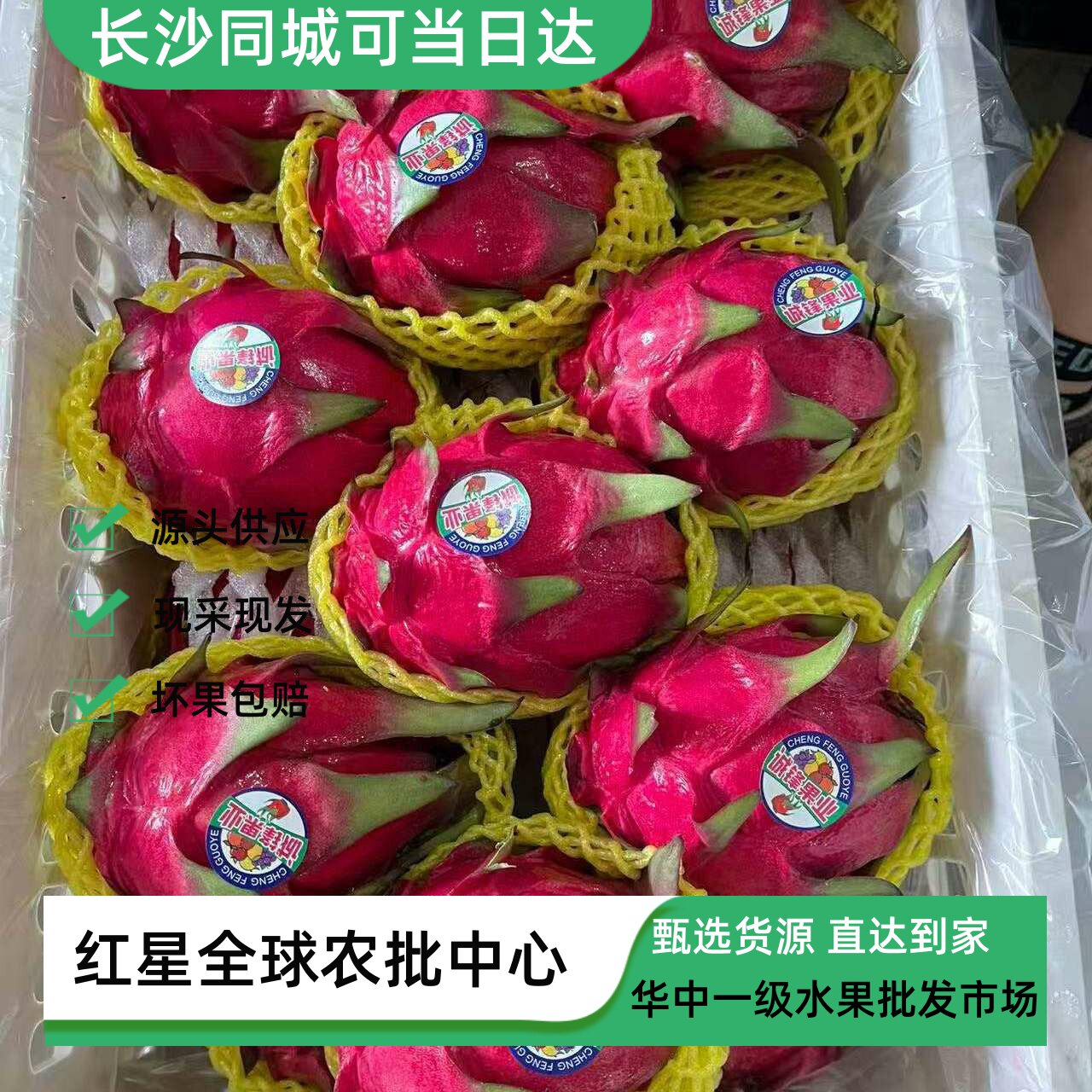 海南金都一号红心火龙果大果新鲜