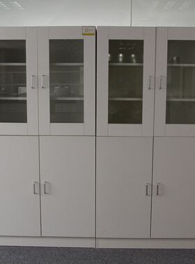 实验室化验室专用化学医院用通风全木药品柜器皿柜试剂柜厂家直销