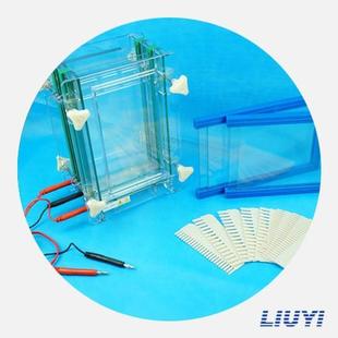 DYCZ 大 28D 垂直电泳仪 北京六一双板夹芯式