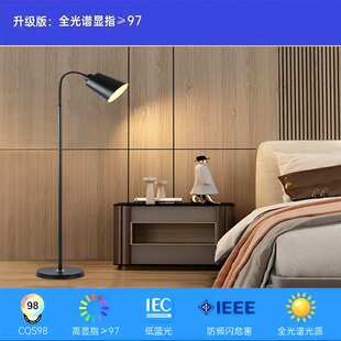 落地灯客厅卧室ins风创意床头灯现代简约网红书房LED遥控立式台灯