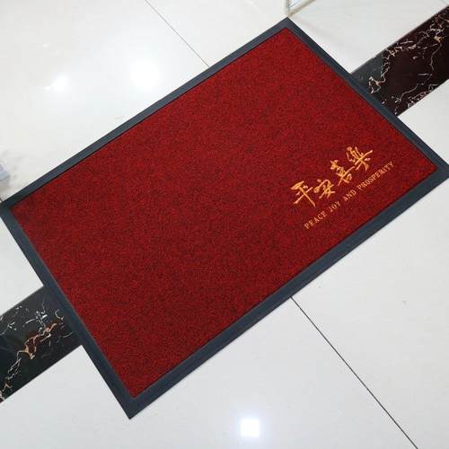 入户门垫2024新款门厅家用地毯玄关进门防滑脚垫硬丝耐磨耐脏地垫