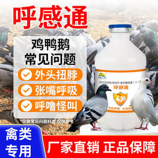 呼感通250ml 鸡鸭鹅鸽子鹌鹑咳嗽气喘张嘴呼吸呼噜怪叫