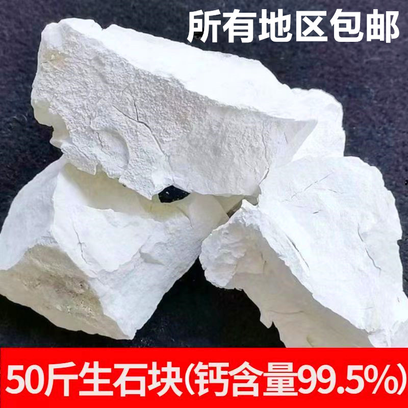 1到50斤新鲜鱼塘生石灰块