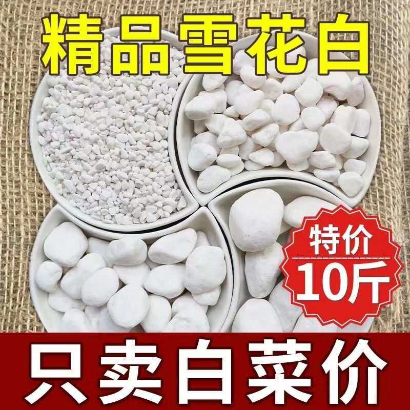 水磨石石米白色透水石子园林花圃造景砾石白色石米水洗石黑色石米