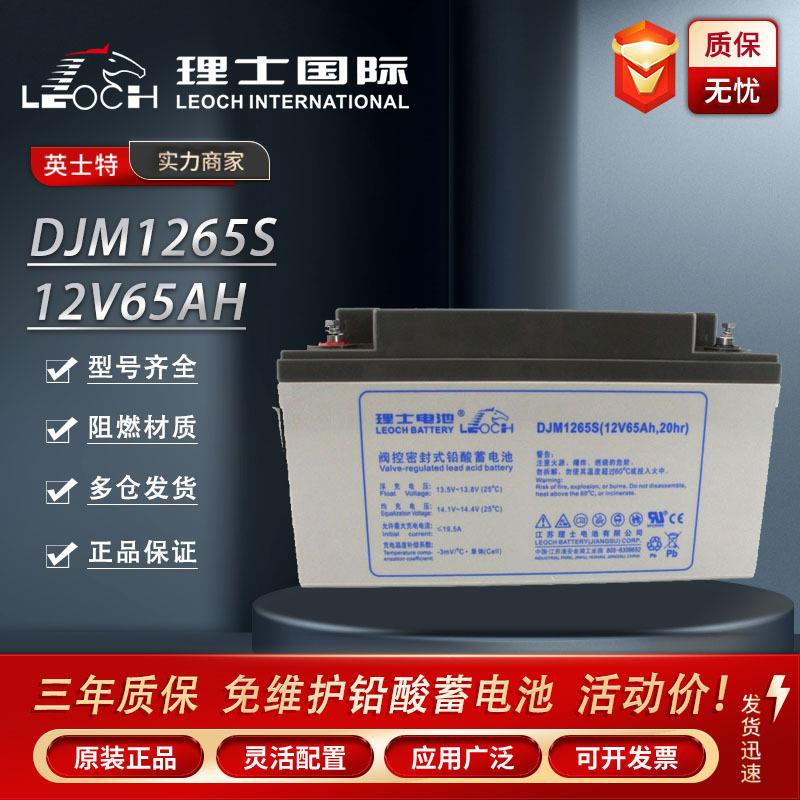 理士蓄电池DJM1265S铅酸免维护12V65AH机房UPS电源通讯直流屏