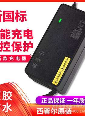 灌胶防雨水电动车电瓶充电器48V12AH20AH30AH适用于巨龙电动车60v