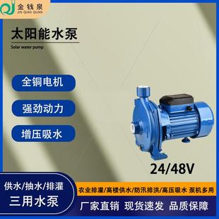 大流量排灌24v自吸泵无堵塞高扬程48v专用泵小口径抽水吸水增压泵