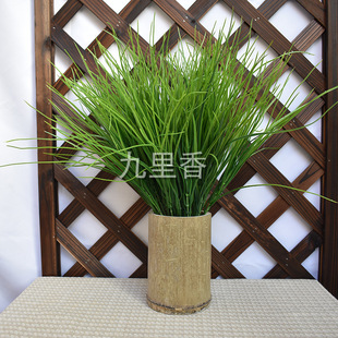 6叉长春草春草尖草软胶手感植物墙配材仿真洋葱草水草塑料