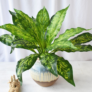 手感中18叶万年青鸟巢蕨仿真蕨类植物蕨草排草植物墙配材插花装 饰