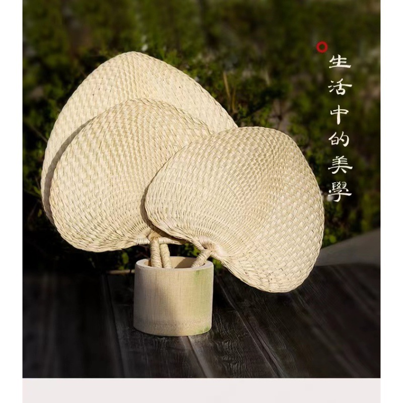 蒲扇夏季扇手工草编老式扇折扇手摇扇宝宝纳凉驱蚊扇子棕叶大蒲扇