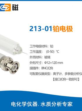 B感实验室A213/214/S/玻璃铂钨锑电极213/214/21501金属-电极传器