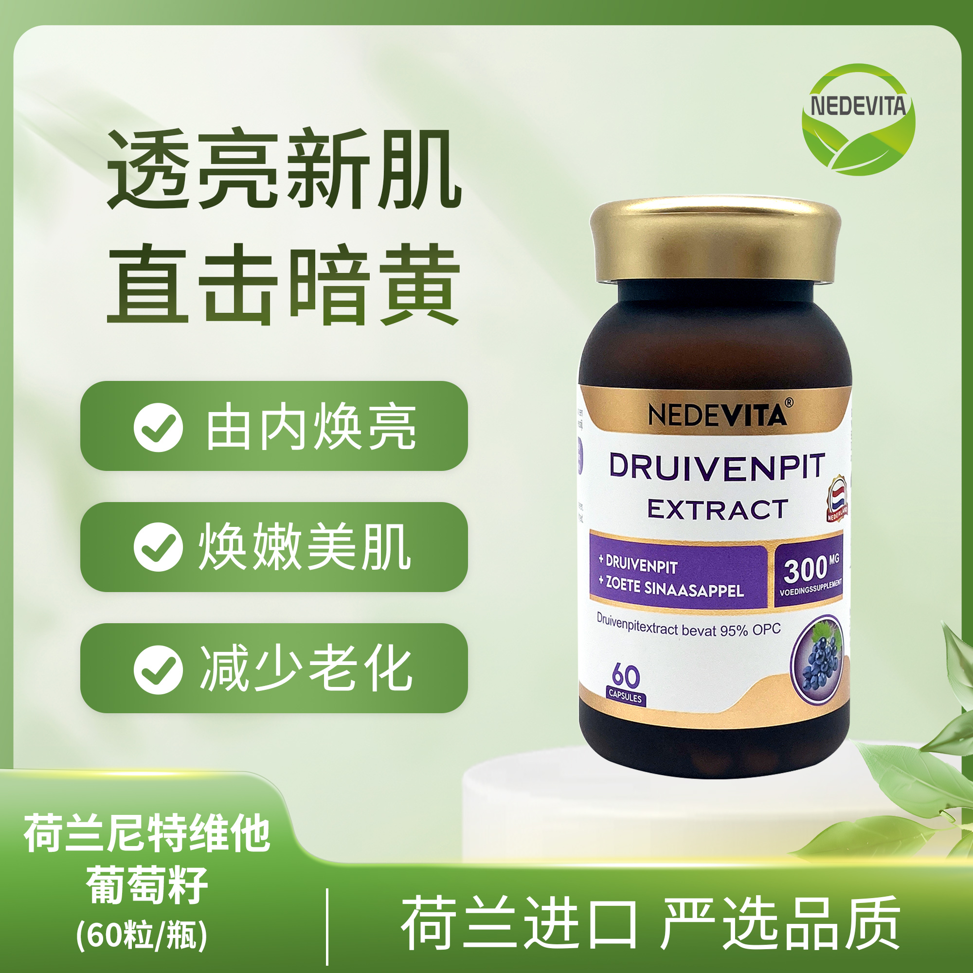 荷兰NEDEVITA葡萄籽60粒/瓶