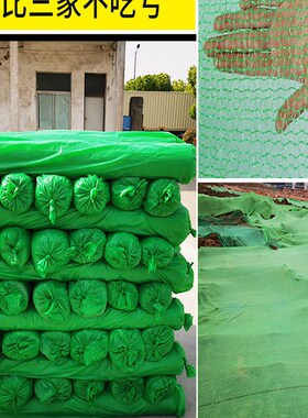 广东防尘网建筑工地护坡绿色防尘绿化盖土网 1.5-8针防尘网