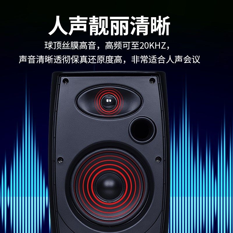 聆语会议室音响套装小型会议室专用音箱教室演讲室培训室壁挂音箱