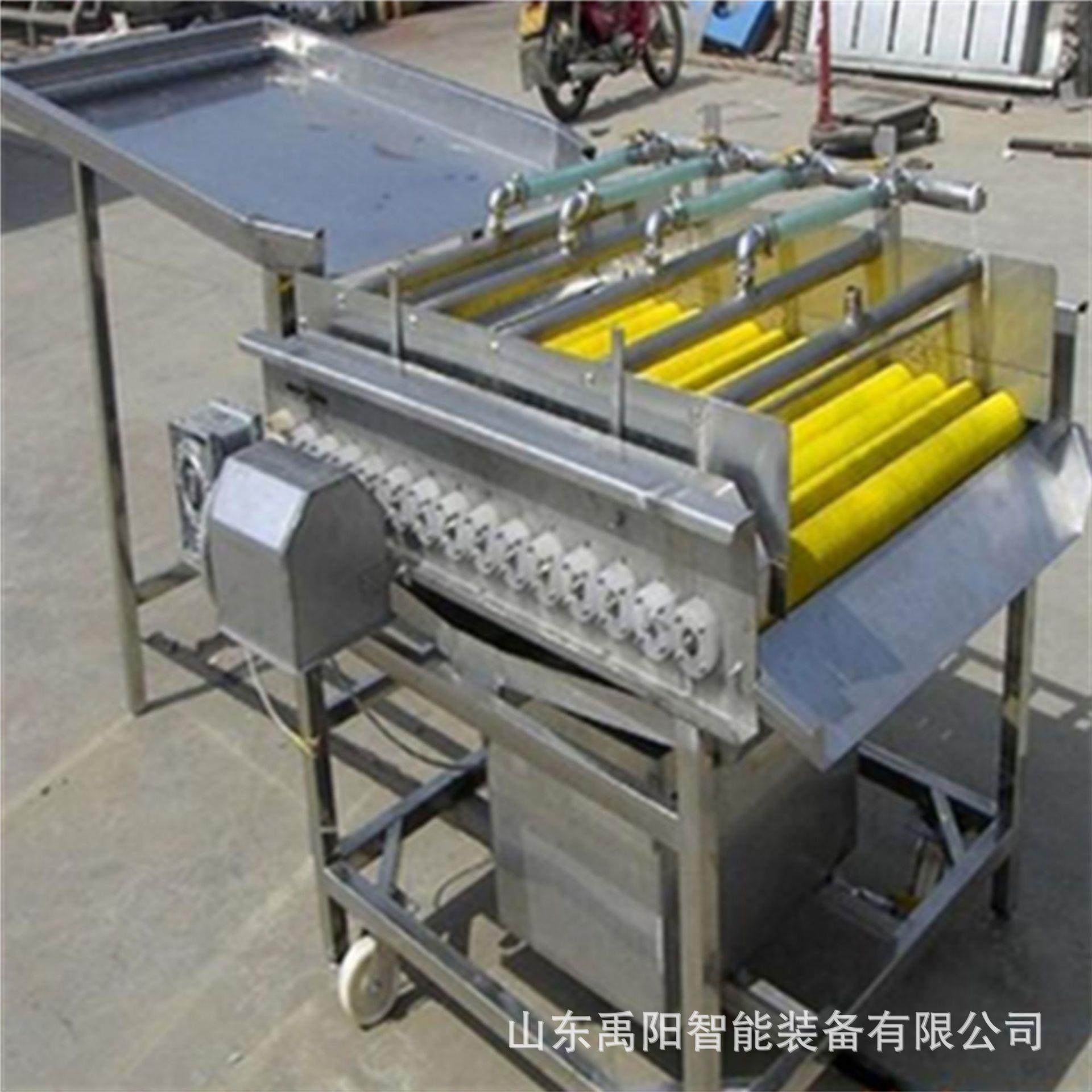 造花生毛刷清洗机人参中草药清洗设备手剥笋竹笋毛辊清洗机器,清洗/食品/商业设备,其他食品加工设备,淘宝优惠券,粉丝福利购,淘宝优惠卷