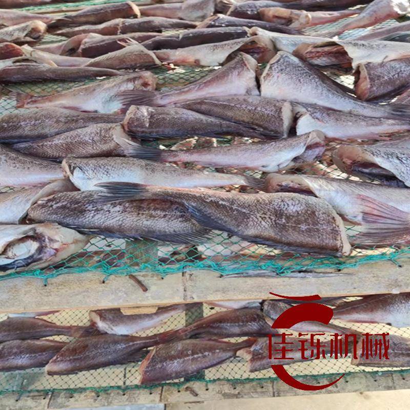 5P石斑鱼空气能烘干机海兔海肠冷风干燥机海产类空气能低温烘箱