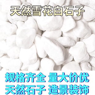 白色石子铺地景观50斤装铺路小白石头白石子造景大鹅卵石庭院石子
