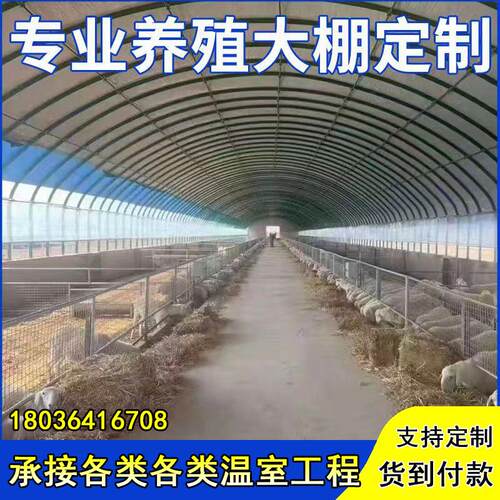 养殖大棚钢管骨架全套养羊圈养牛舍养鸡鸭鹅养猪场椭圆管温室大棚