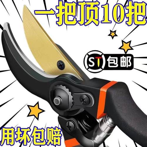 日本进口工艺SK5修枝剪园艺剪树枝专用剪刀花艺剪花剪树剪子果树