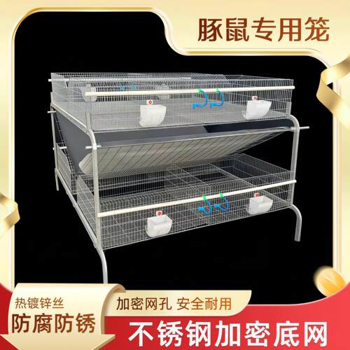 荷兰猪饲养笼豚鼠养殖场笼子规模化实验鼠养殖笼具自动清粪设备