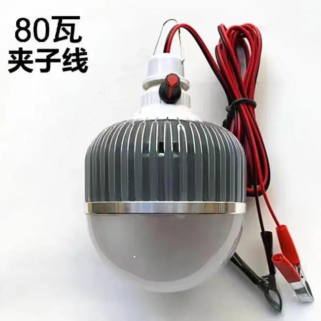 水果灯可调色低压12vLED生鲜灯48V60V电动车变色水果摊位照明灯泡