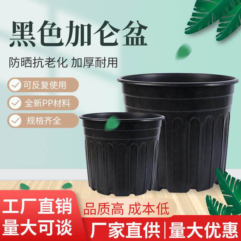 黑色加仑盆软塑胶花盆加厚营养钵育苗盆简易苗圃花盆种植盆培育盆