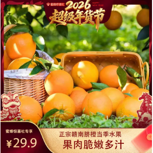 应季鲜果正宗赣南脐橙