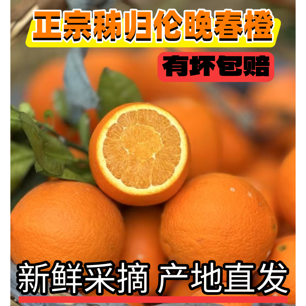 新鲜采摘 伦晚春橙 花果同枝 香甜多汁现摘大果  5斤礼盒 包装3