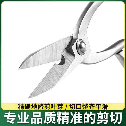 鼎木加强叶芽剪刀全不锈钢园艺剪嫩芽修枝小枝切剪盆景长杆剪刀