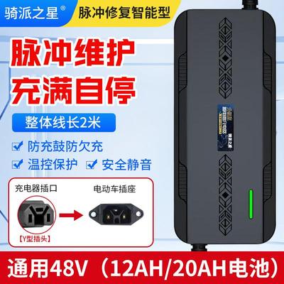 智能脉冲修复电动车电瓶充电器48V12AH48V20AH通用48V30A快充