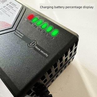 嘉陵电动汽车原厂充电器36V48V20Ah60V72V原厂专用正品 智能脉冲