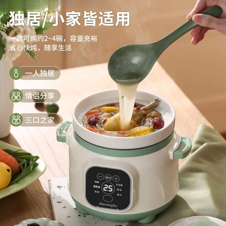 家用婴儿电炖锅宝宝1一2人熬粥专用锅煲汤全自动辅食小型煲粥炖盅
