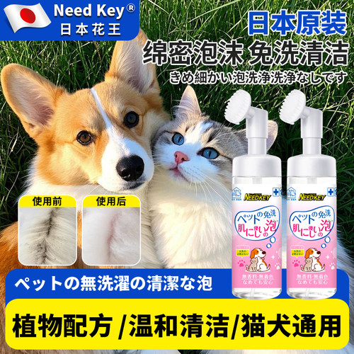 宠物猫咪狗狗去黑下巴免洗泡沫