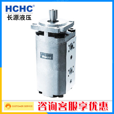 HCHC合肥长源CBKP双联齿轮泵