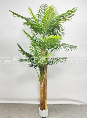 仿真细室竹葵芭蕉杆细竹葵内落地盆景装饰仿JHU真皮芭蕉