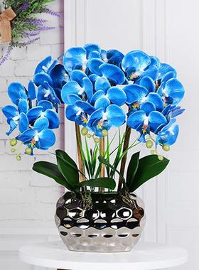 高OBH档蝴蝶兰仿真花假花摆设装客饰花插兰花花盆栽轻奢花艺摆厅