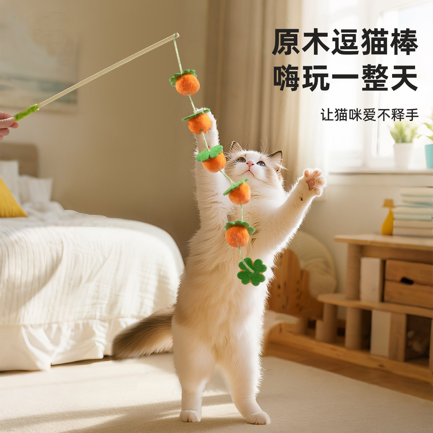 猫咪超爱！柿子逗猫棒！图片