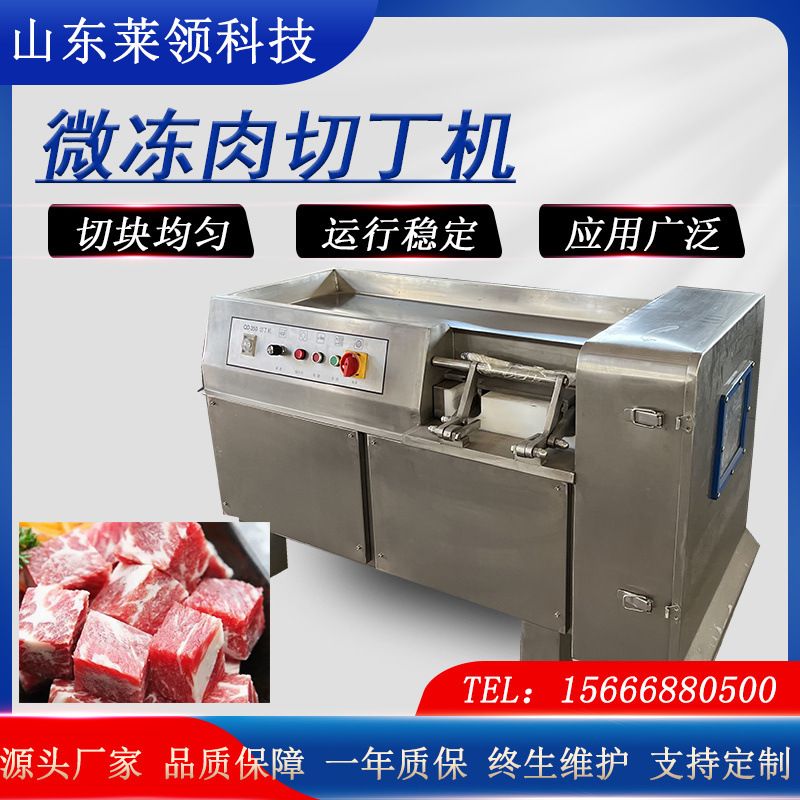 不锈钢350型切丁机商用 鲜牛肉冻肉切肉丁机 大型三维冻肉切丁机