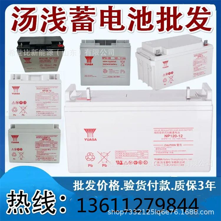 广东汤浅蓄电池24AH 38AH 65AH 100AH 150AH 200AH后备备用电源