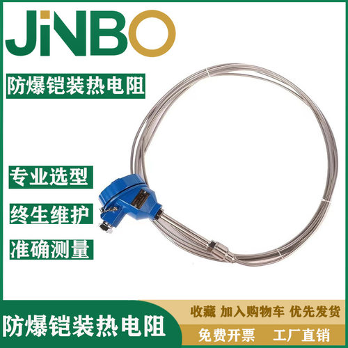 防爆铠装铂热电阻探头式热电阻可弯曲WZP230 pt100K型温度传感器