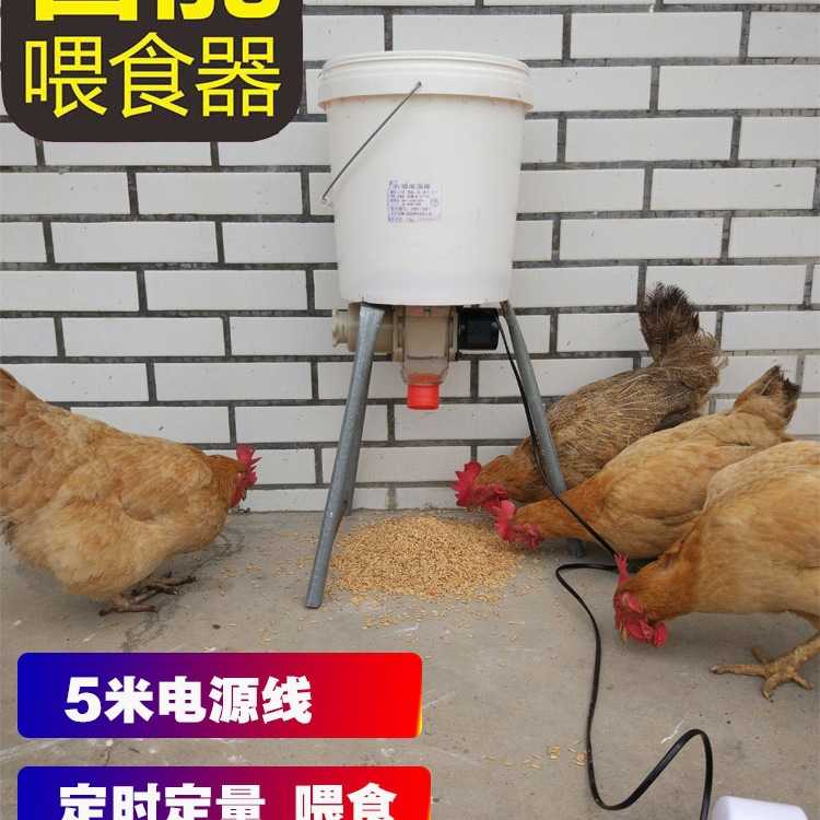 养鸡鸽子鸡鸭信鸽食槽定时全自动喂鸡鸽子用品用具